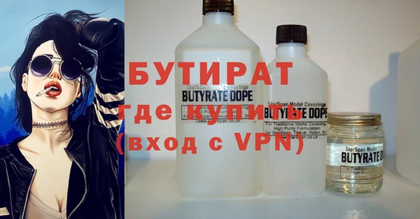 индика Дмитриев