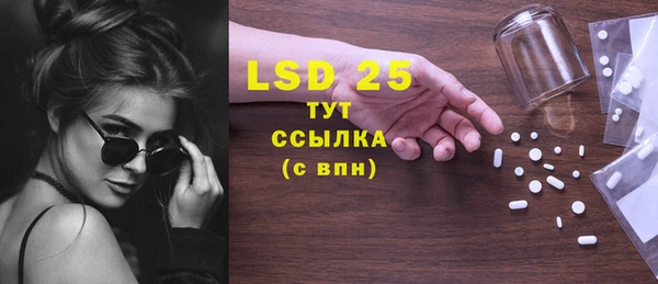 индика Дмитриев