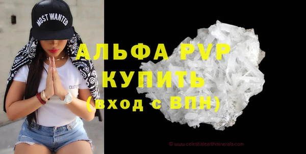 индика Дмитриев