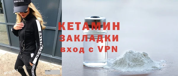 индика Дмитриев
