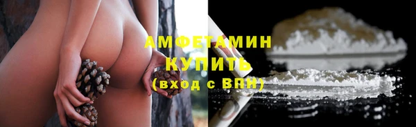 индика Дмитриев