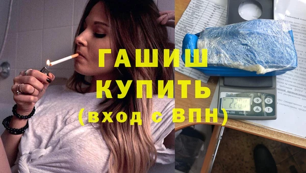 индика Дмитриев
