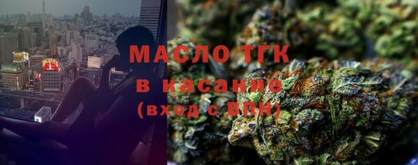 индика Дмитриев