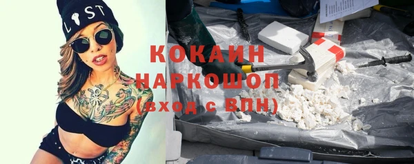 индика Дмитриев