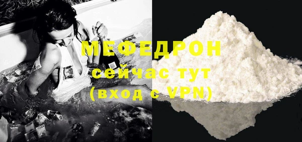 индика Дмитриев