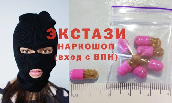 индика Дмитриев
