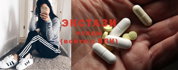 индика Дмитриев
