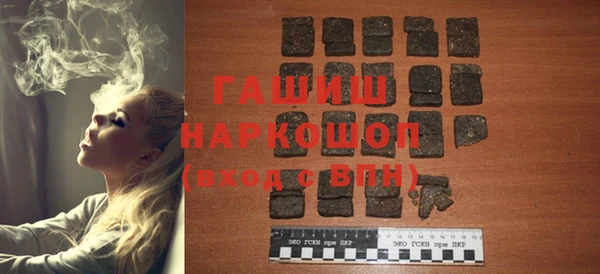 индика Дмитриев